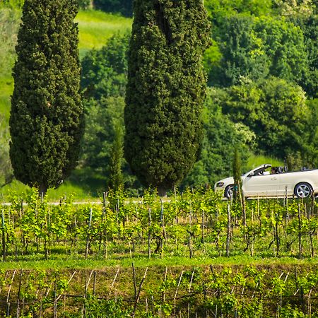 Palazzo Angelica B&B Adults Only Oprtalj エクステリア 写真