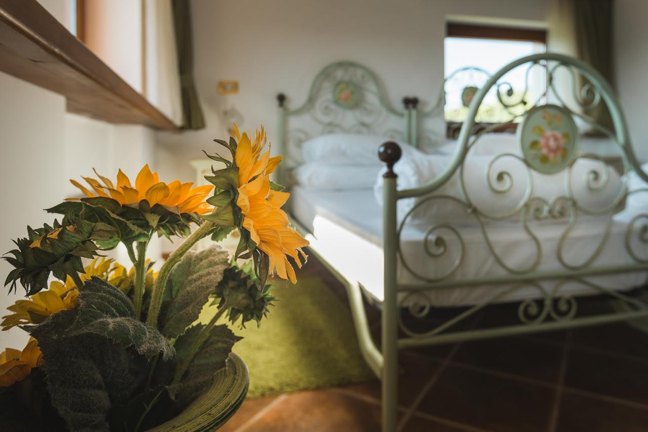 Palazzo Angelica B&B Adults Only Oprtalj エクステリア 写真